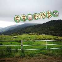 擁抱🫂大自然🎍的美💕