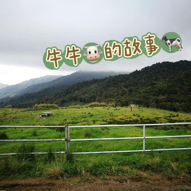 擁抱🫂大自然🎍的美💕