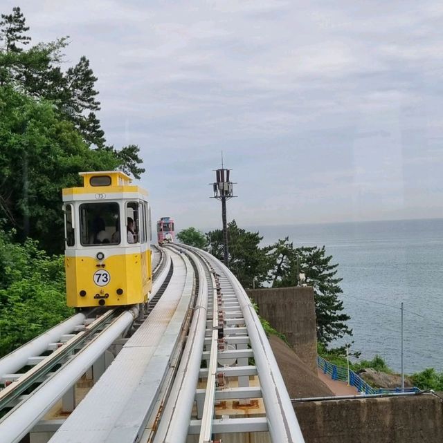 Ride the coast with the Sky Capsule🤩