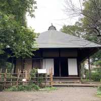 【東京】杉並区の歴史を学ぶならここ！