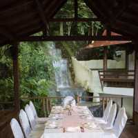 Dine with Nature - KL