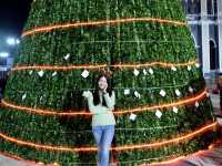 Merry Christmas ชมไฟแสงสีสุดสวย ⭐️