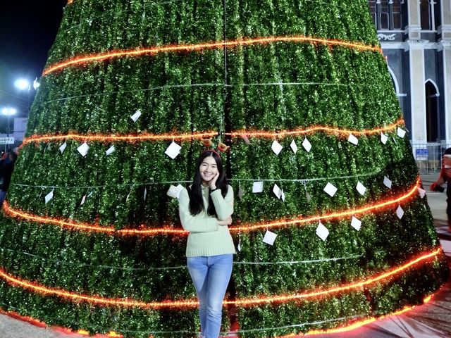 Merry Christmas ชมไฟแสงสีสุดสวย ⭐️