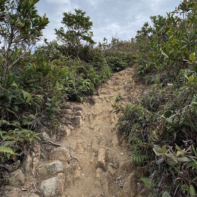 The easiest ‘sharp peak in HK’ 