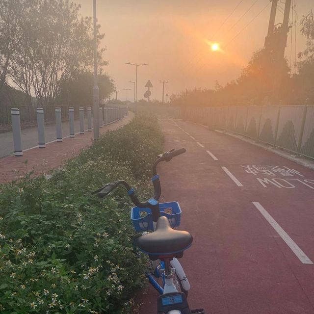 避開人群 拍拖探秘打卡熱點之大水管單車遊🚴🚴‍♀️