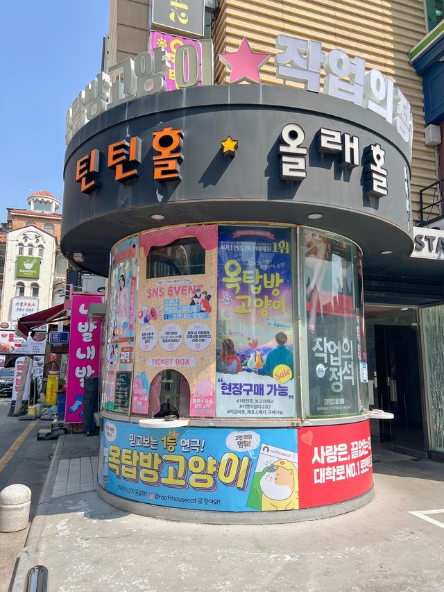 대학로 핫플 예매율1위 연극 '옥탑방고양이'