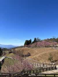 清境農場