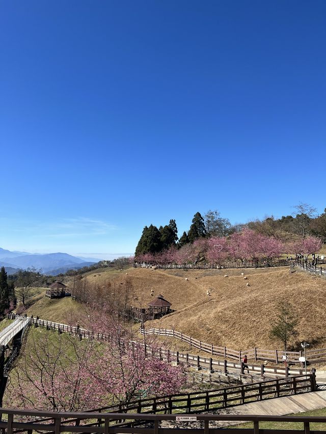 清境農場