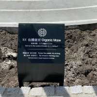 香港都市農莊「K-FARM堅農圃」