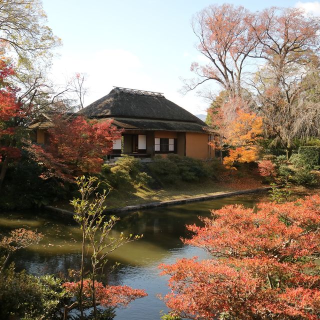 katsura imperial villa 