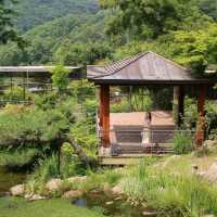 광주 화담숲 여름 산책으로는 여기 🌳