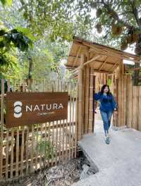 Poomjai Garden / Natura Cafe 