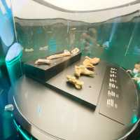 科學館恐龍展