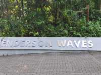 Henderson wave bridge Singapore 