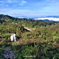 พิชิตยอดเขา ภูตาจอ ทะเลหมอกเต็มตา