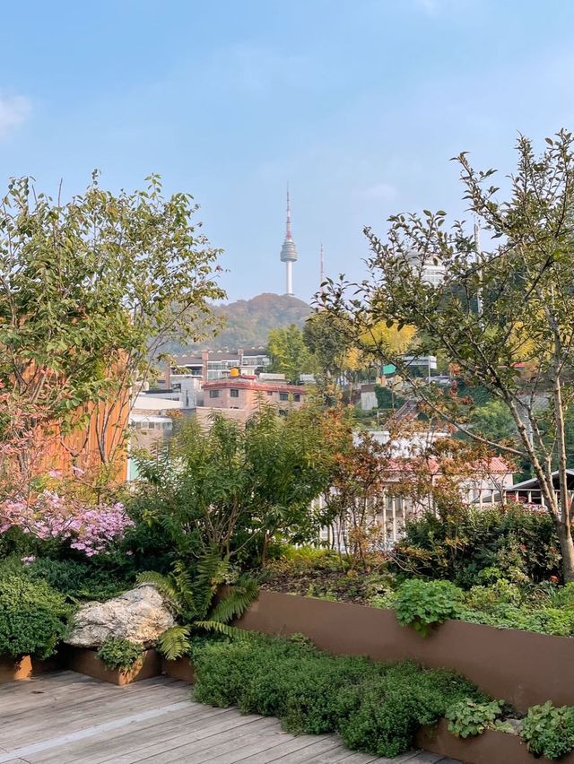 실내 데이트 추천 피크닉 국내여행 전시