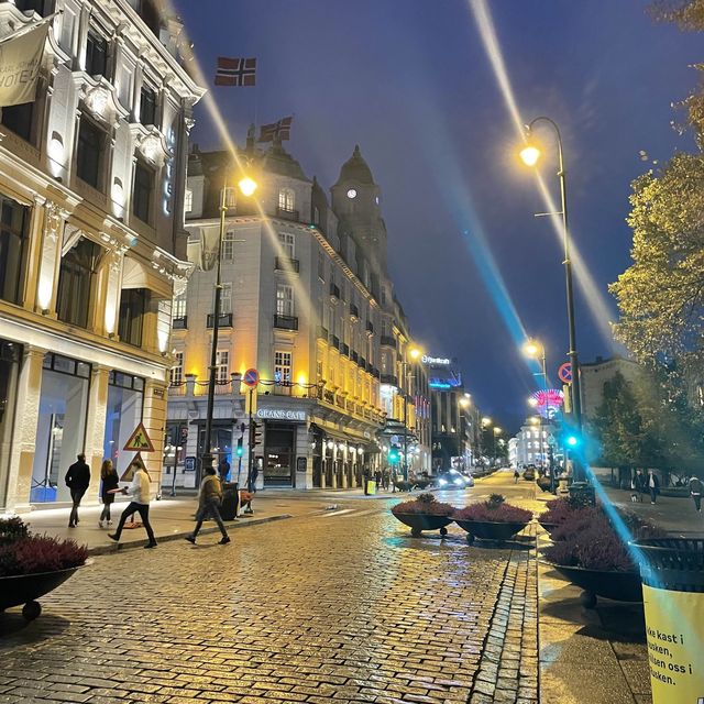 oslo walking street at night light