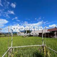 ตลาดชมทุ่ง วัดศรีมงคล-ก๋ง ท่าวังผา น่าน