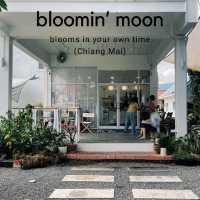 Bloomin’ Moon🌕hostel cafe @Chiang Mai