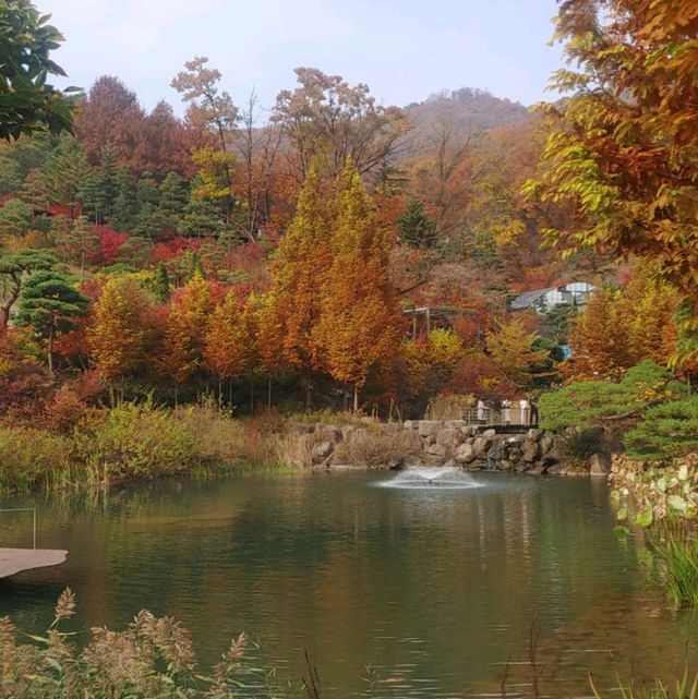 가을 단풍여행하면 요즘 가장 핫하게 떠오르는 화담숲을 가보자