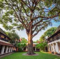 Tamarind Village Chiang Mai พักสบายใจกลางเมือง