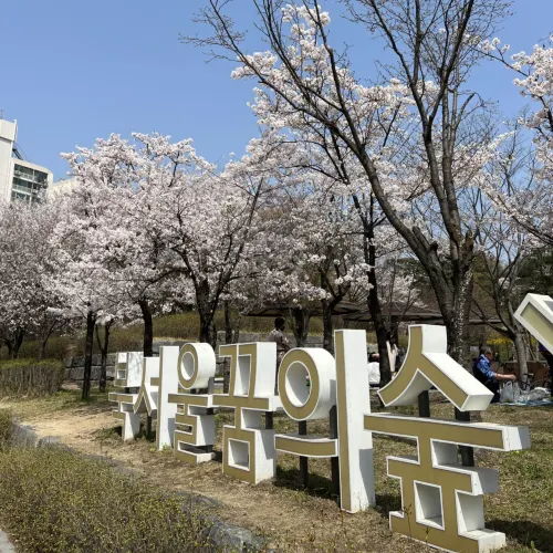 韓国/ソウル【江北区】ソウル西側の大きな公園🌸
