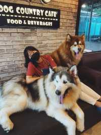 Dog Country Cafe สนุก ไม่จำกัดเวลา