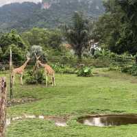 Fun Day at Zoo Negara