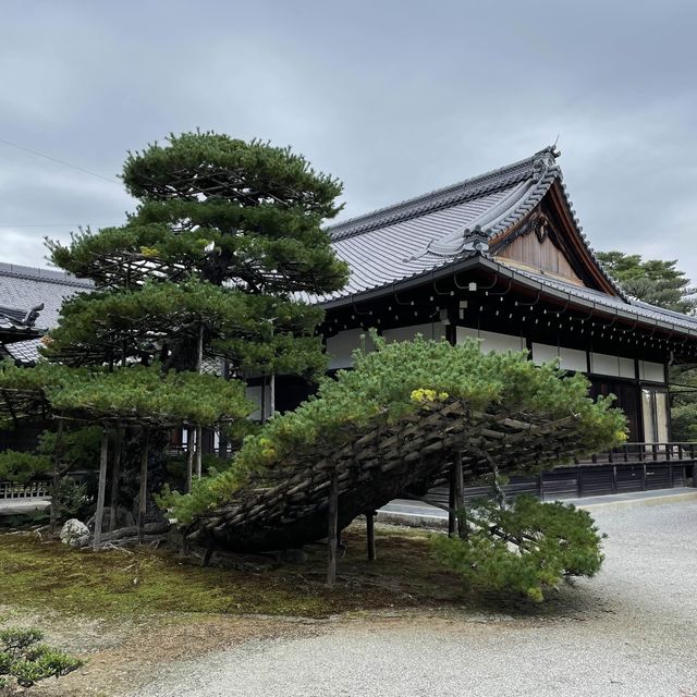 Kinkaku-ji is simply amazing! 