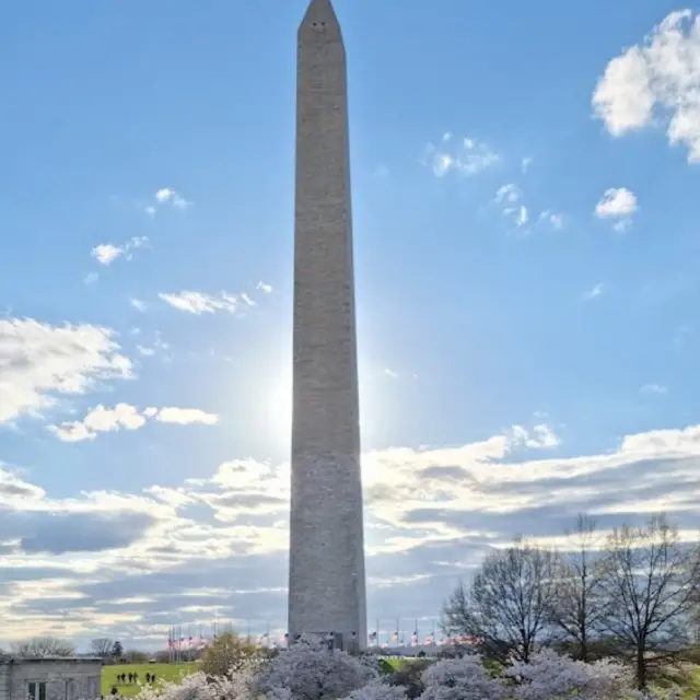 Washington monument 