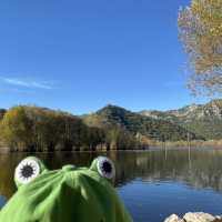 Beautiful Skadar Lake in Montenegro