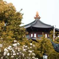 More sight from the Hanshan Temple!