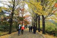 영주 부석사 아름다운 산사