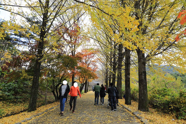 영주 부석사 아름다운 산사
