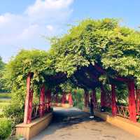My favorite park in Shanghai