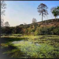 Baikka Beel Wetland Sanctuary