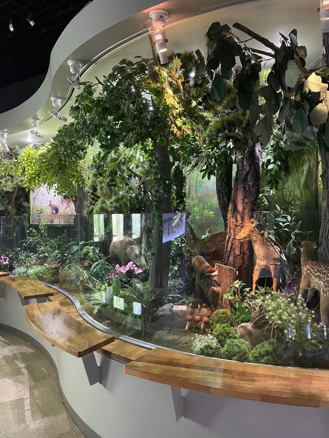 풀과 나무가 아름다운 경상남도수목원 🌳🌿