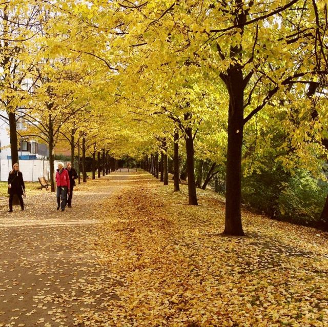 The Biggest Park in Germany's Bremen