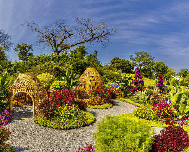 Xiamen | is my "Wizard of Oz" in dreams