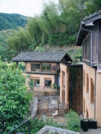 Songyang | A secluded homestay in the mountains among the sea of clouds, so therapeutic.