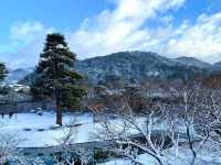 【Kyoto · Snowy Byodoin Temple · 2023】