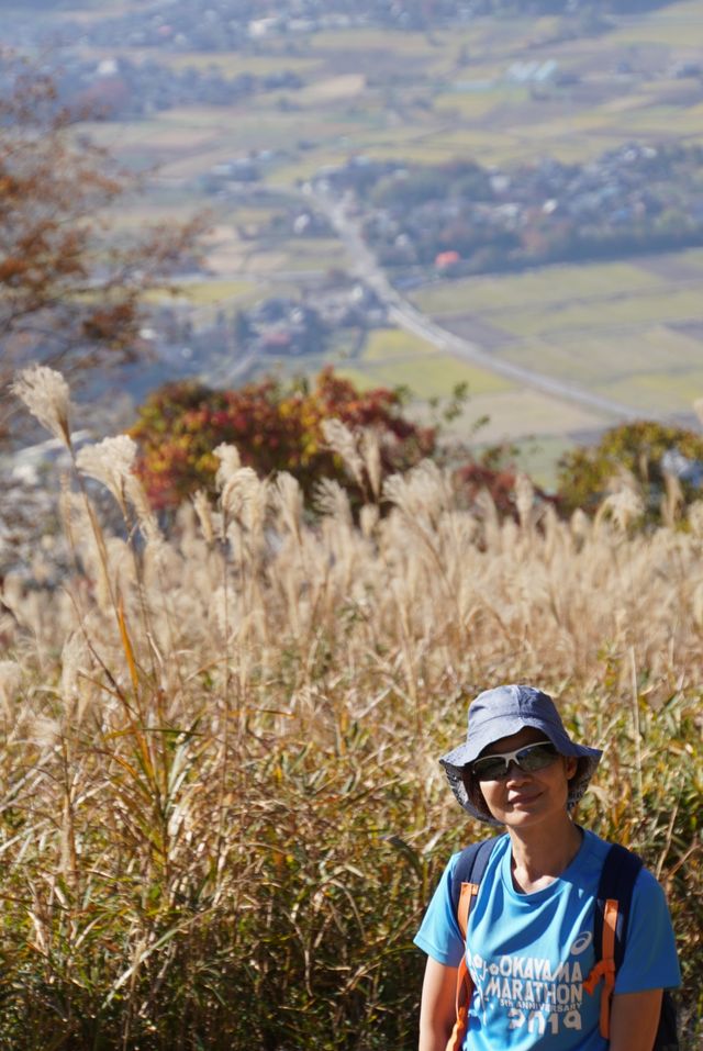 Japan free travel, hike up Mount Ibuki, autumn leaves and miscanthus are equally beautiful.