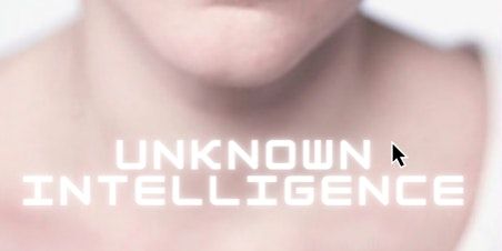 Unknown Intelligence | tak Theater Aufbau Kreuzberg