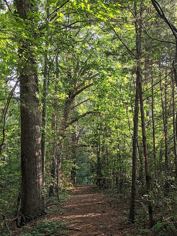 Friday Garden Forays, Spring 2025 | South Carolina Botanical Garden