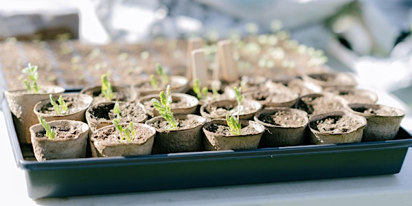 Grow Food, Save Water: Water-Wise Food Gardening | Richmond Food Bank