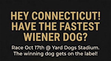 1st Annual Fastest Wiener Dog Race in Connecticut | Dunkin' Park