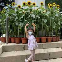 #超好玩一層樓高滑梯 #色彩鮮艷彩虹公園