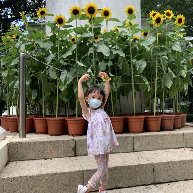 #超好玩一層樓高滑梯 #色彩鮮艷彩虹公園