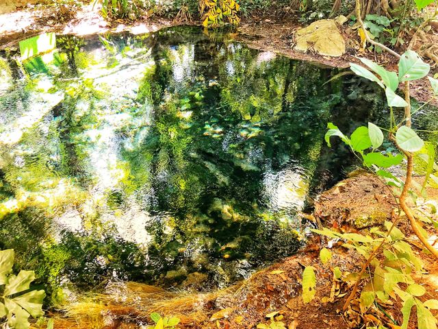 น้ำพุธรรมชาติบ้านท่าช้าง (น้ำผุดปากช่อง) 