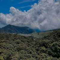 SAKURA HILLS - TAWANGMANGU
